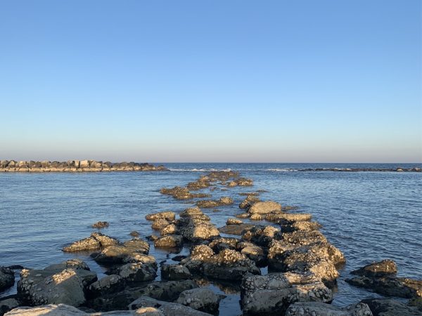 Offerta last minute al mare rimini
