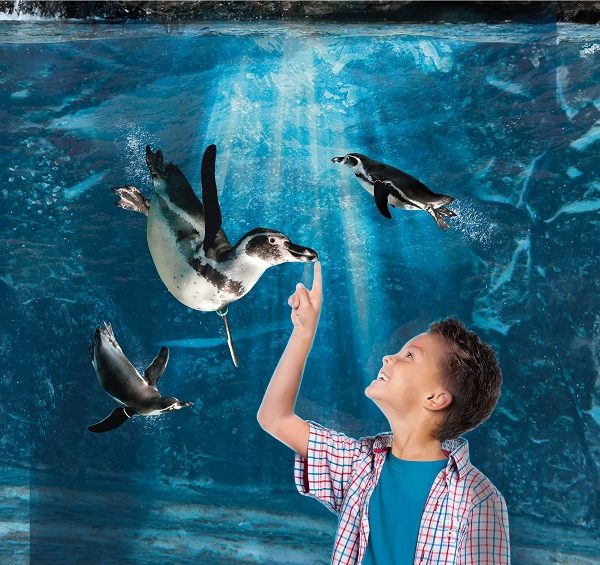 Acquario di cattolica vicini